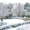 Commercial Snow Removal Services