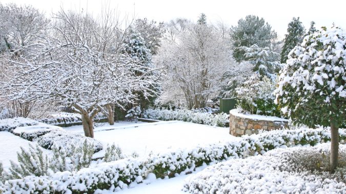 Commercial Snow Removal Services