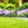 Landscaping Services in Rosemount