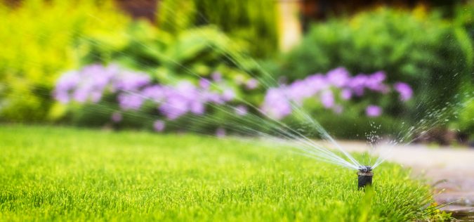 Landscaping Services in Rosemount