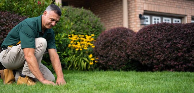 lawn care mn